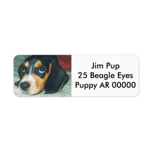 Cute Big Eyes Beagle Puppy