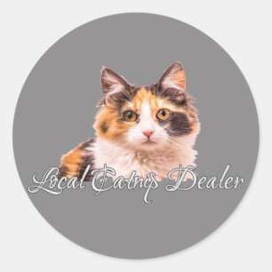 Cute Big Eyes Calico Kitten Local Catnip Dealer Classic Round Sticker