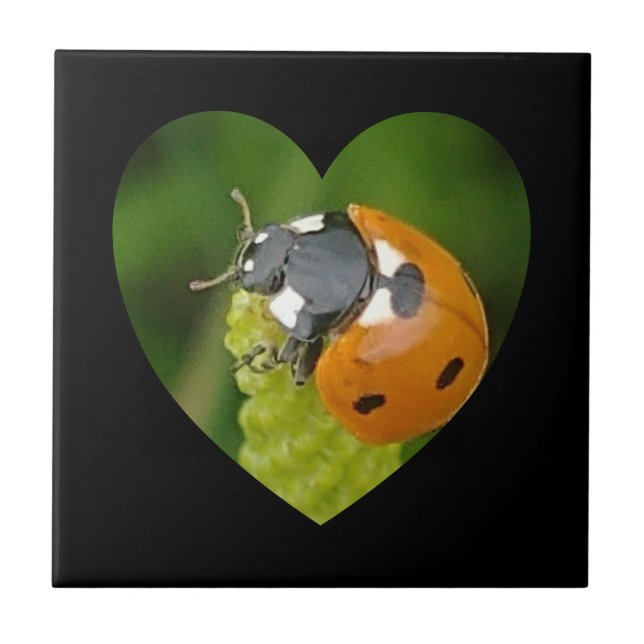 Cute Big Ladybug In A Heart Square Tile (Front)