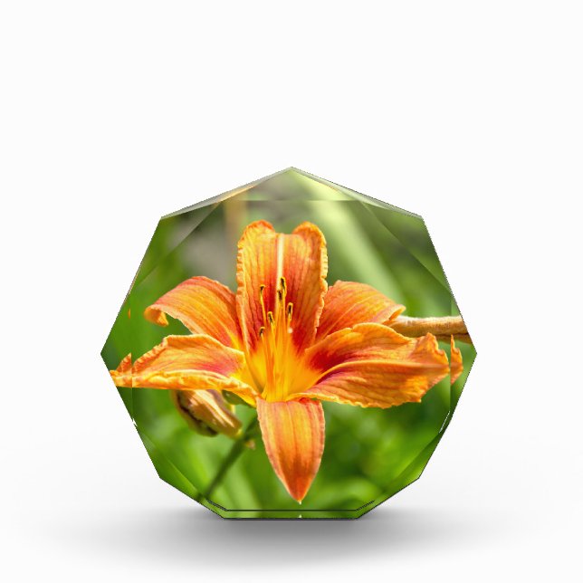 Cute big Lily flower photo Block (Front)
