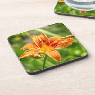 Cute big Lily flower photo Coaster