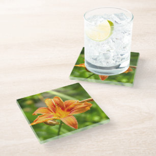 Cute big Lily flower photo Glass Coaster
