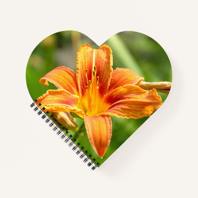Cute big Lily flower photo Notebook (Front)