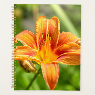 Cute big Lily flower photo Planner