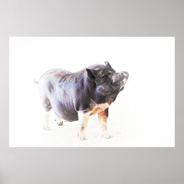 Cute Big Pig Farm Style Art Poster (Front)