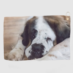 Cute Big Saint Bernard dog Golf Towel