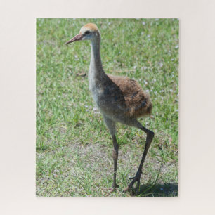 Cute Bird Florida Sandhill Crane Nature Photograph Jigsaw Puzzle