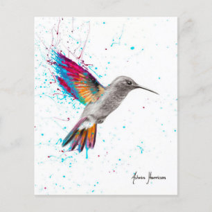 Cute Bird Full Colour Gift  Bird For Mothers Day  Flyer