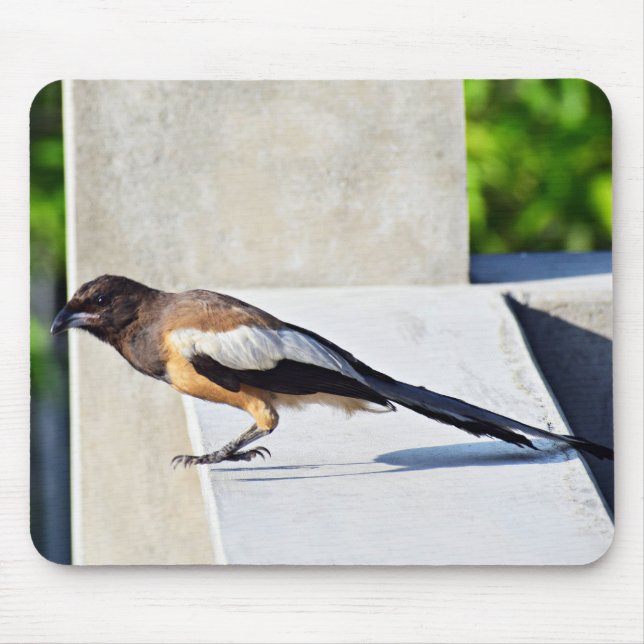 Cute Bird Mouse Pad (Front)