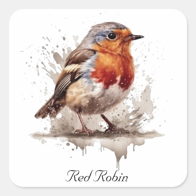 Cute bird red robin customisable square sticker (Front)