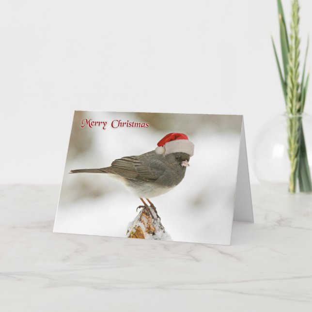 Cute Bird With Santa Hat Merry Christmas Holiday Card (Front)