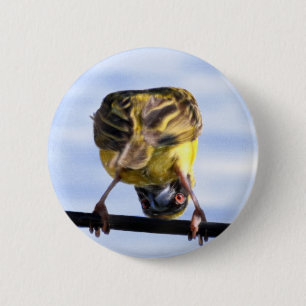 Cute Birdie Buttons