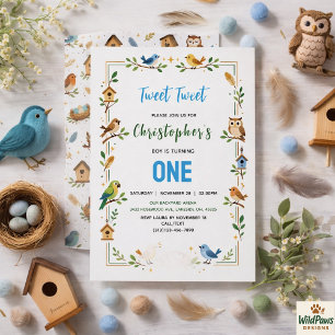 Cute Birds 1st Birthday Party – Fun Kids  Invitation