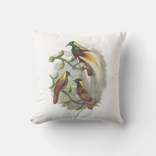  Cute birds cushion (Front)