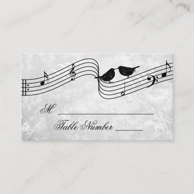 Cute Birds Music Wedding Seating Table Place Cards (Front)