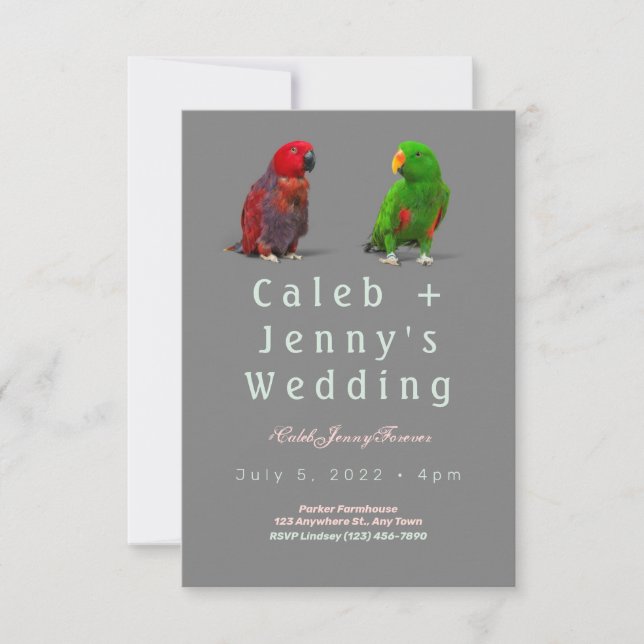 Cute Birds Wedding Invitation (Front)