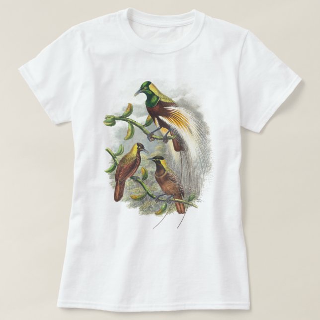  Cute birds women tshirts (Design Front)