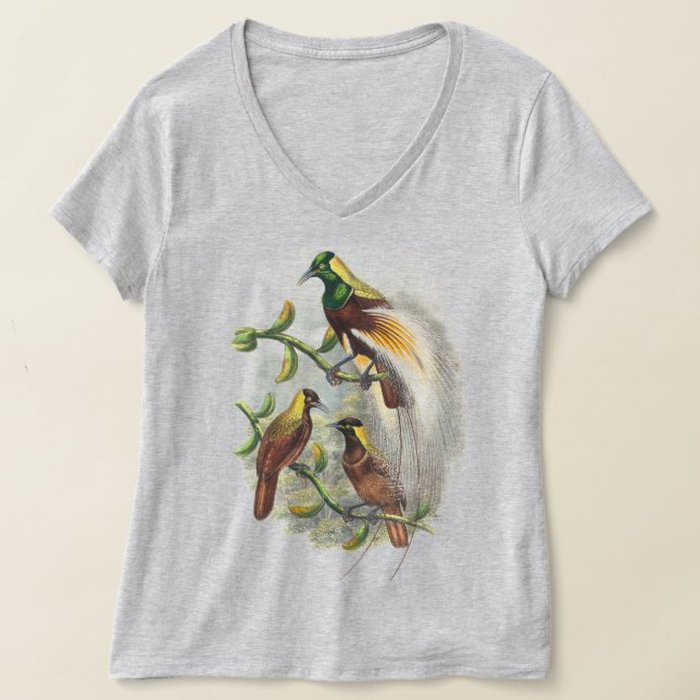  Cute birds women tshirts (Laydown)