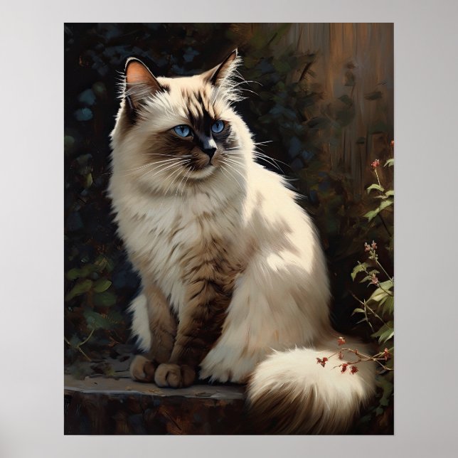 Cute Birman Cat Art Print Poster (Front)