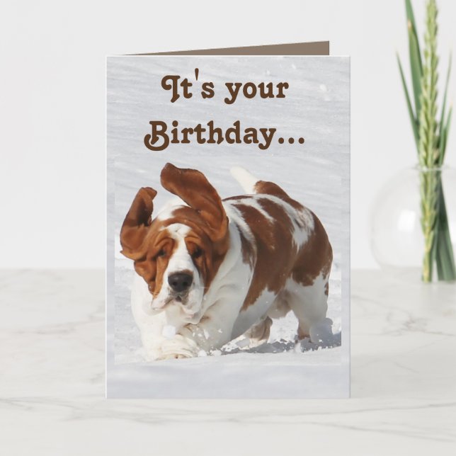 Cute Birthday Card w/Basset Hound & Champagne (Front)