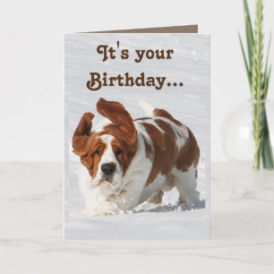 Cute Birthday Card w/Basset Hound & Champagne
