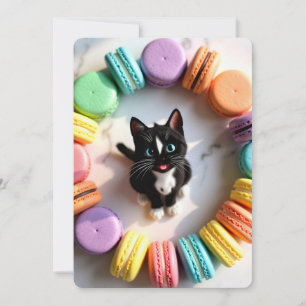 Cute Birthday Cat with Colourful Macarons – Sweet Invitation