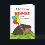 Cute Birthday for Granddaughter Hedgehog Balloons Card<br><div class="desc">A birthday hedgie for my granddaughter. Cute birthday greeting card for a granddaughter. Card features a hedgehog "hedgie" on the cover who is carrying colorful balloons to a birthday party. Change the lower text line on the cover as you like.  Art,  image,  and verse copyright © Shoaff Ballanger Studios.</div>