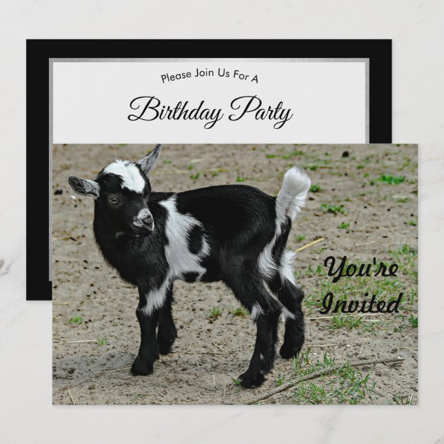 Cute Black and White Baby Goat Photo Birthday Invitation (Front/Back)