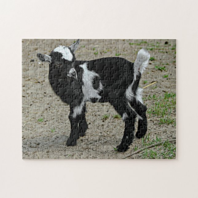 Cute Black and White Baby Goat Photo Jigsaw Puzzle (Horizontal)