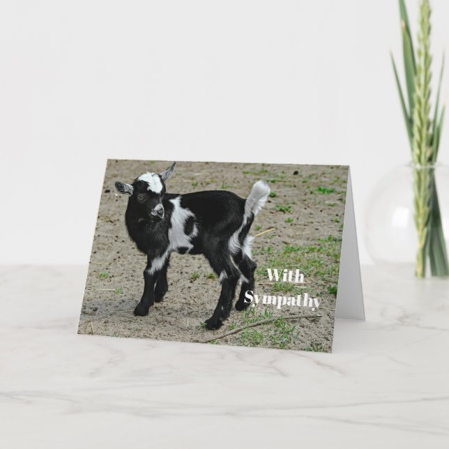 Cute Black and White Baby Goat Photo Sympathy Card (Front)