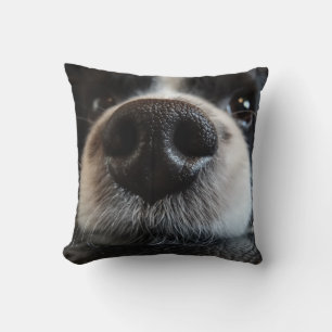 Cute Black and White Border Collie Nose Closeup Cushion