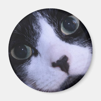 Cute Black and White Cat Face Magnet