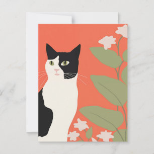Cute Black and White Cat Postcard