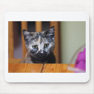 Cute Black and White Kitten Mouse Pad