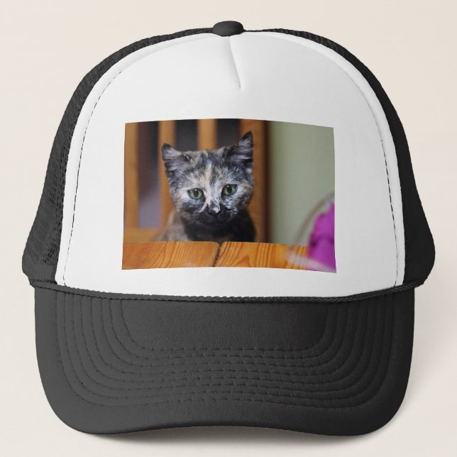 Cute Black and White Kitten Trucker Hat (Front)