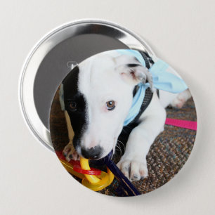 Cute Black and White Puppy 10 Cm Round Badge