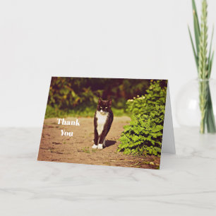 Cute Black and White Tuxedo Cat Photo Thank You Card