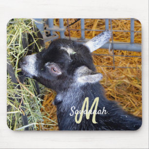 Cute Black Baby Goat Eating Hay Photo Monogram Mouse Pad