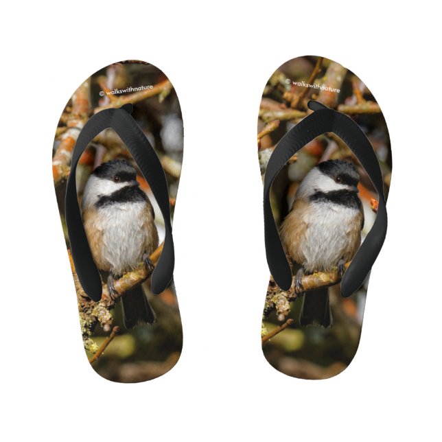 Cute Black-Capped Chickadee in the Tree Kid's Jandals (Footbed)