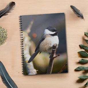 Cute Black-Capped Chickadee Waits for Spring Notebook
