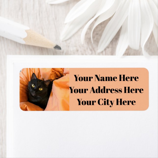 Cute Black Cat (Insitu)
