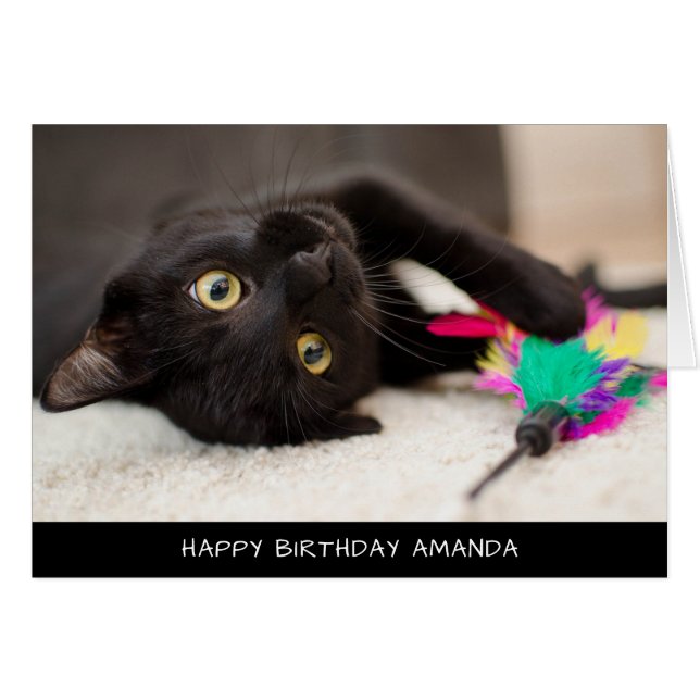 Cute Black Cat Birthday Card (Front Horizontal)
