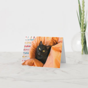 Cute Black Cat Card