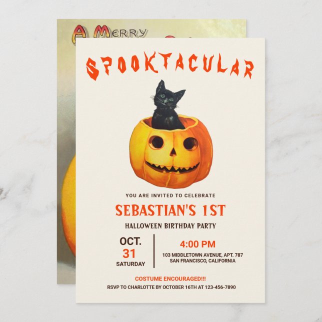 Cute Black Cat Halloween Birthday  Invitation (Front/Back)
