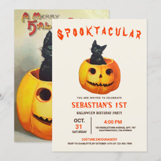 Cute Black Cat Halloween Birthday  Invitation