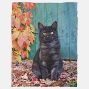 Cute Black Cat Kitten with Red Leaves Blue Door - Fleece Blanket