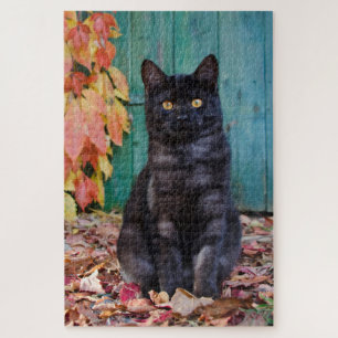 Cute Black Cat Kitten with Red Leaves Blue Door - Jigsaw Puzzle