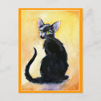 Cute black cat or kitten postcard