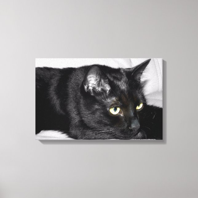 Cute Black Cat Portrait Canvas Print (Front)