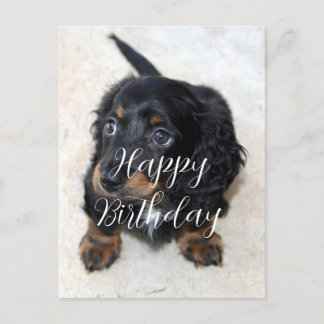 Cute black Dachshund Puppy Dog Birthday Postcard